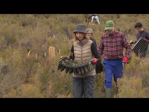 Life Terra, co-financed with European funds, has planted more than 1.5 million trees in 35 countr...