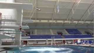 Handstand Flipping Twisting Dive