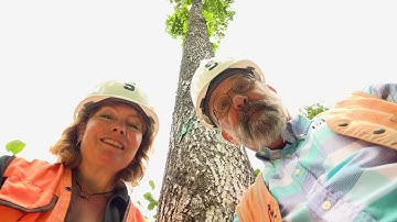 Cool Tools that Foresters Use - Part 1!