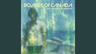 Slow This Bird Down - Boards of Canada