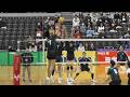 #甲斐優斗 専修 vs 日本体育大学 第2セット 日体大 全日本インカレ2024 男子決勝