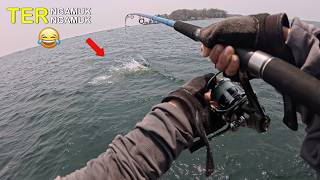This Fish is Going Berserk 😂 Fishing at the Kamal Muara Bagan Tancap || Fishing Guys