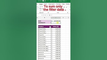 Sum with Filter:  Accurate totals even with filtered data in Excel?
