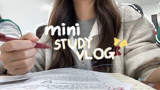 MINI STUDY VLOG - my daily life, a bit of studying, skincare, and chit-chat