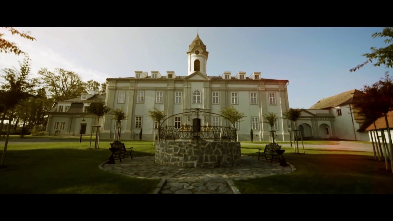 Sony A7s2 + Flycam HD-3000 (Camtree Wonder-3) sony xperia xa1 ultra