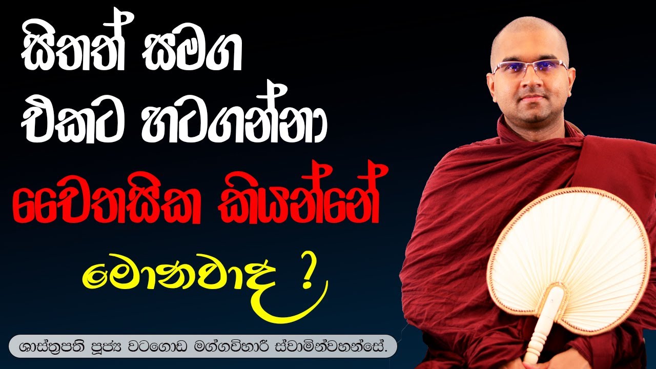 සිතත් සමග එකට හටගන්නා චෛතසික කියන්නේ මොනවාද ? | පූජ්‍ය වටගොඩ මග්ගවිහාරී ස්වාමින්වහන්සේ#maggavihari
