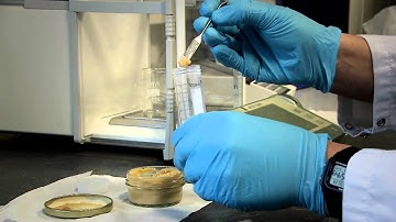 Introduction to the JRC-IRMM