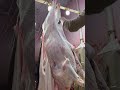 كيفيه اقوي نقش ممكن تشوف اسرع جزار رفع عجل في الونش استخراج جلد من داخل ضهري العجل بكل سهوله