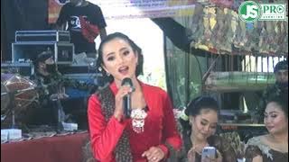 Memanik // SEKAR ARUM Campursari // ARRAFI Production // JS PRO Pacitan