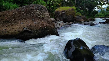 Sound River Mountain Stream, Relaxing Background Noise for Sleep, Mountain Nature Sounds