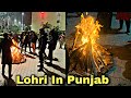 Lohri in Punjab | Ankush Negi Vlogs