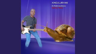 Xingulubyani