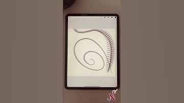 Procreate : Branch brush