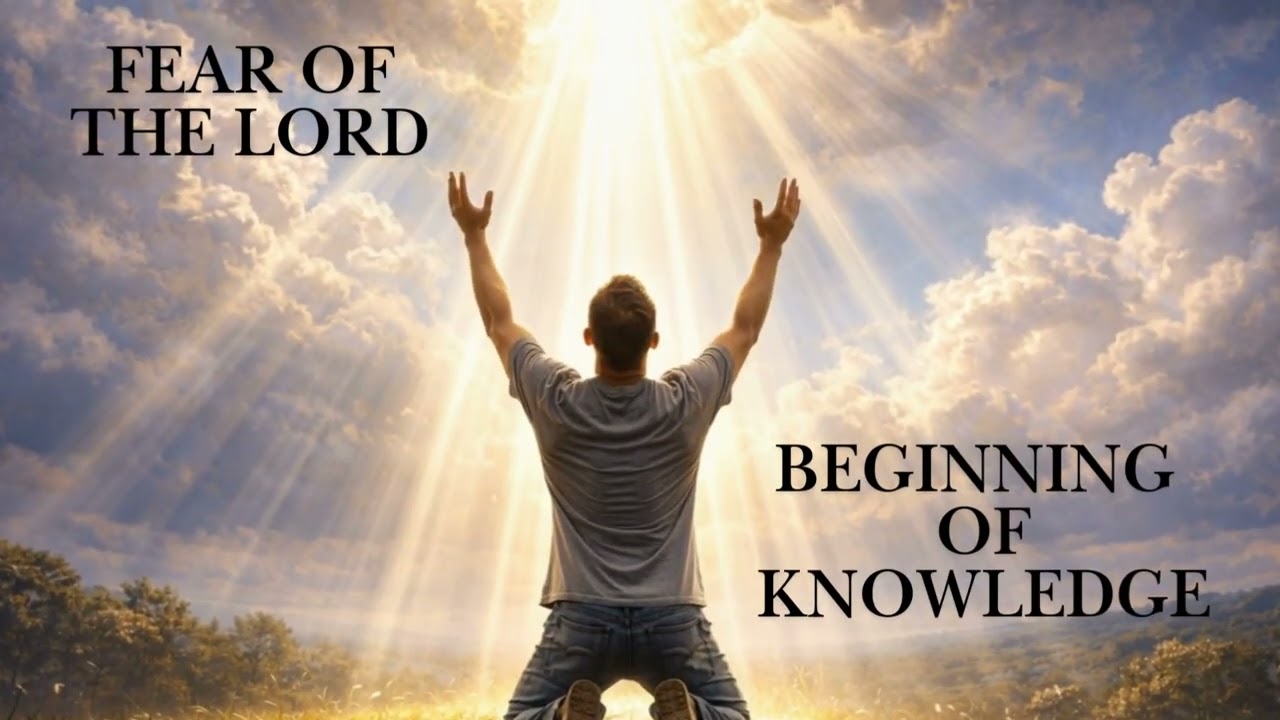 How to get knowledge and wisdom? 🤯🙌🏻 