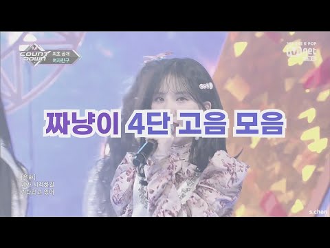 짜냥이 4단 고음 모음