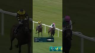 🏆 Sky Sports Racing Aston Park Stakes 🏆