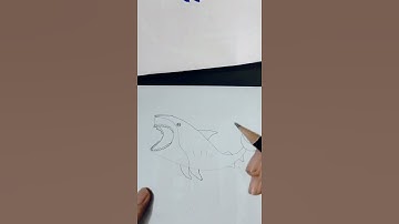vẽ cá mập từ số 5 , how to draw shark #babyshark #drawing 🦈 #fish ,vẽ cá