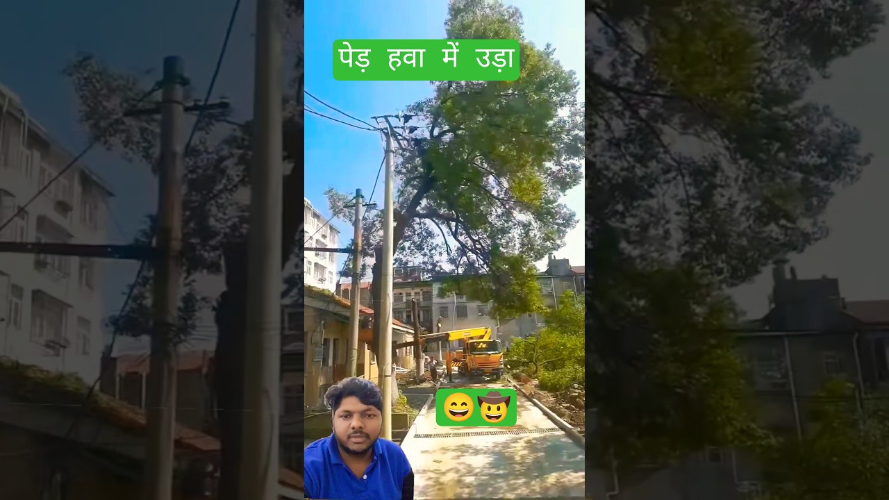 logging at the pole 🎣 good tools and machinery make work easy 💡