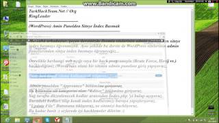 Admin Panelden Siteye İndex Atma WordPress