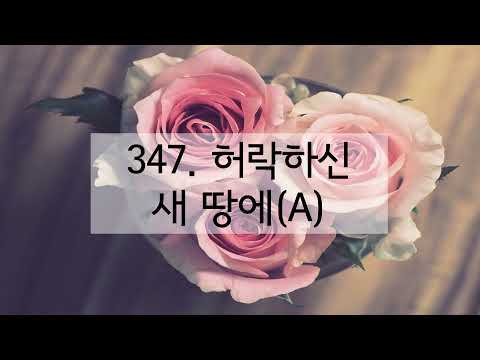 새찬송가 347장 허락하신 새 땅에(반음 낮춤)