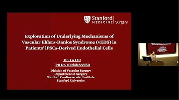 Exploration of Underlying Mechanisms of vEDS in Patients’ iPSCs-Derived Endothelial Cells