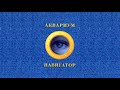 Аквариум - Таможенный блюз