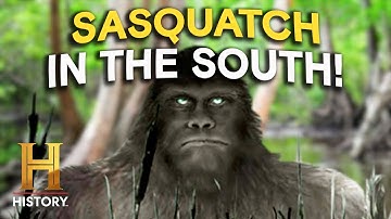 The BEST Bigfoot Footage Ever Recorded? | The Proof is Out There (S5) | History