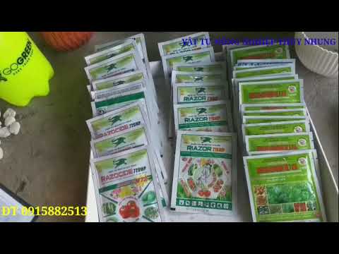 Video Thuốc gì phun có màu xanh trên lá cây -Thuốc phòng nấm... - youtube