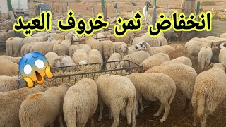 حصريا📣انخفاض ثمن خروف العيد2024 عليكم بالخروف اسباني نصيحة من كزار وبيطري الثمن لمليح🫰وعامر لحم