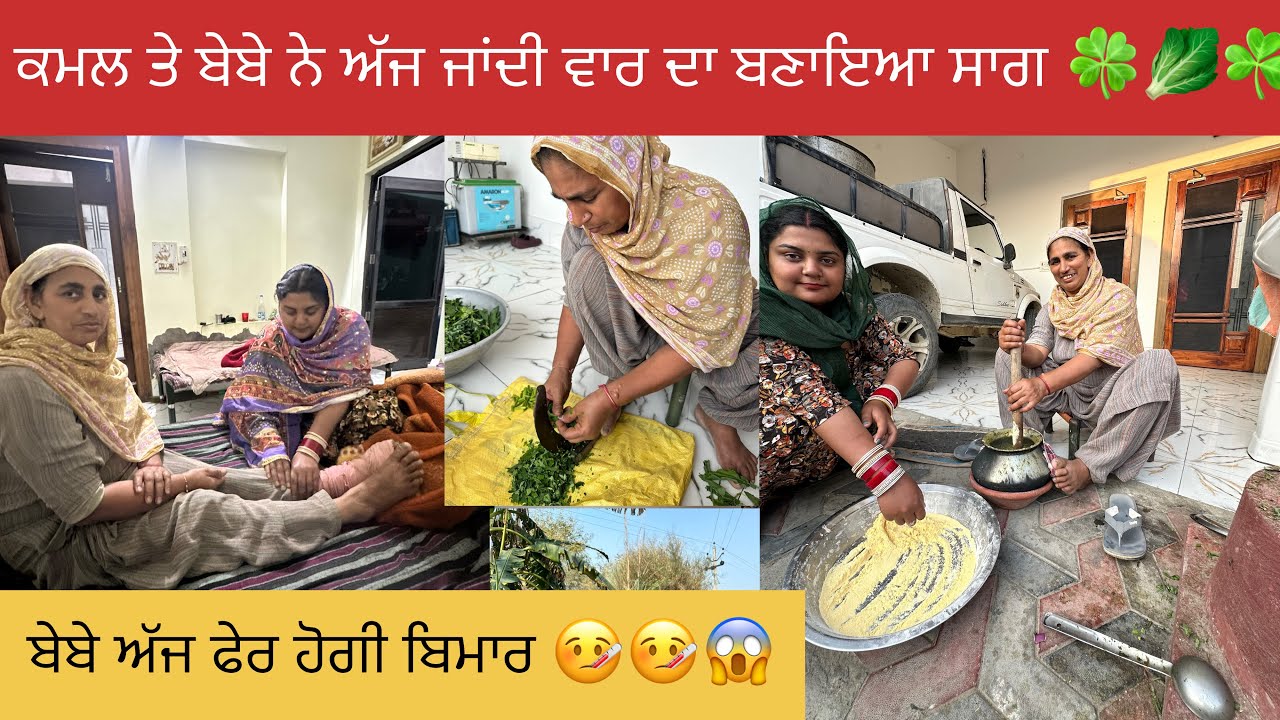 ਬੇਬੇ ਤੇ ਕਮਲ ਨੇ ਅੱਜ ਬਣਾਇਆ ਸਰੋ ਦਾ ਸਾਗ 🍀☘️🥬☺️👩‍🌾!ਬੇਬੇ ਦੀ ਸਿਹਤ ਹੋਈ ਖ਼ਰਾਬ 🤒😱#happyfarminglife #vlog 
