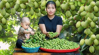 Picking up canarium fruit to sell at the market, Daily life of a 14-year-old single mother