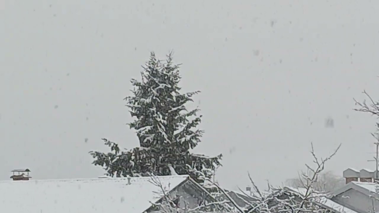 ❄️SNOW❄️SNOW❄️