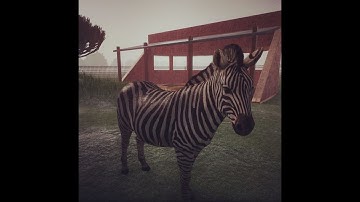 Planet Zoo - Zebra 🦓 - Speed Build
