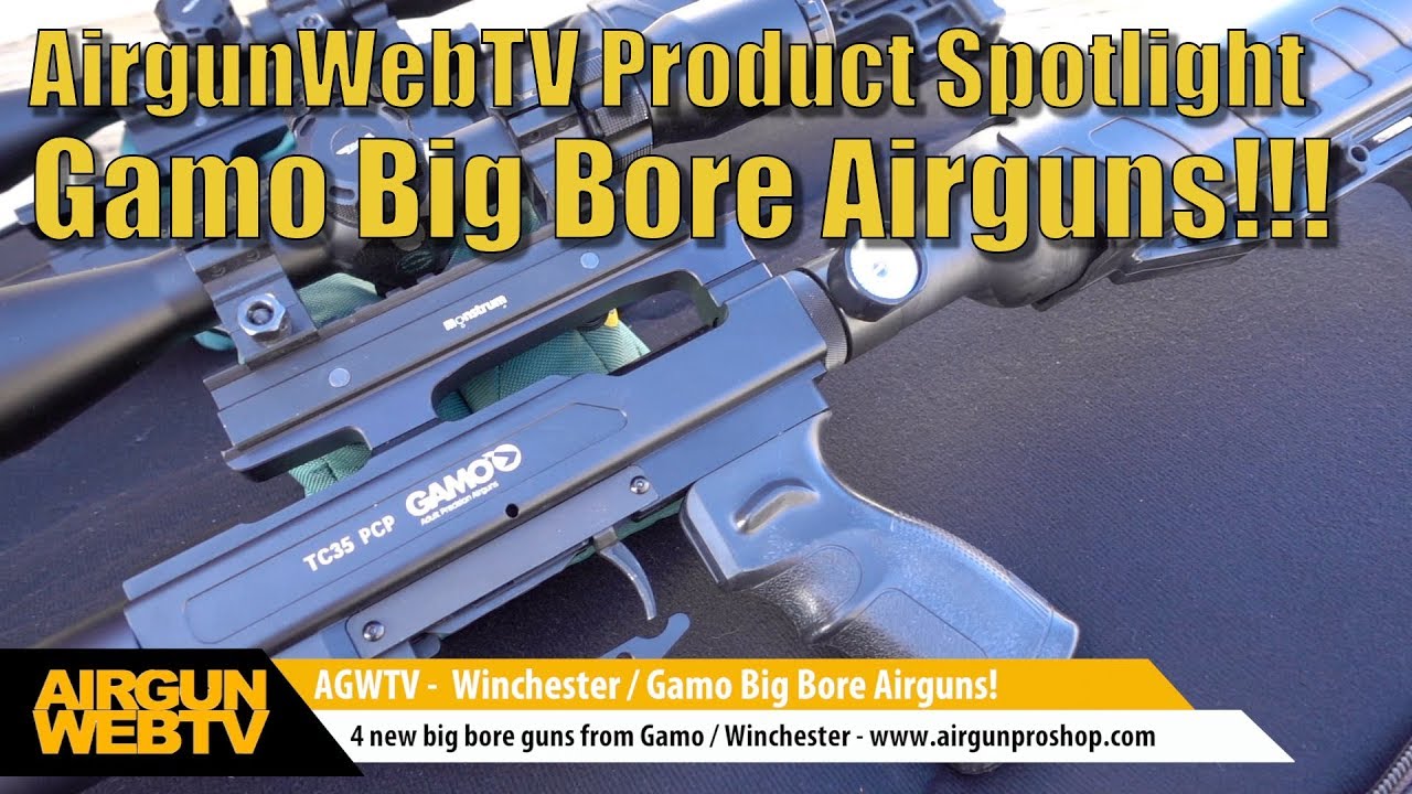Big Bore Ariguns from Gamo / Winchester - Accuracy, Power, Shot Count! - by  AirgunWebTV 