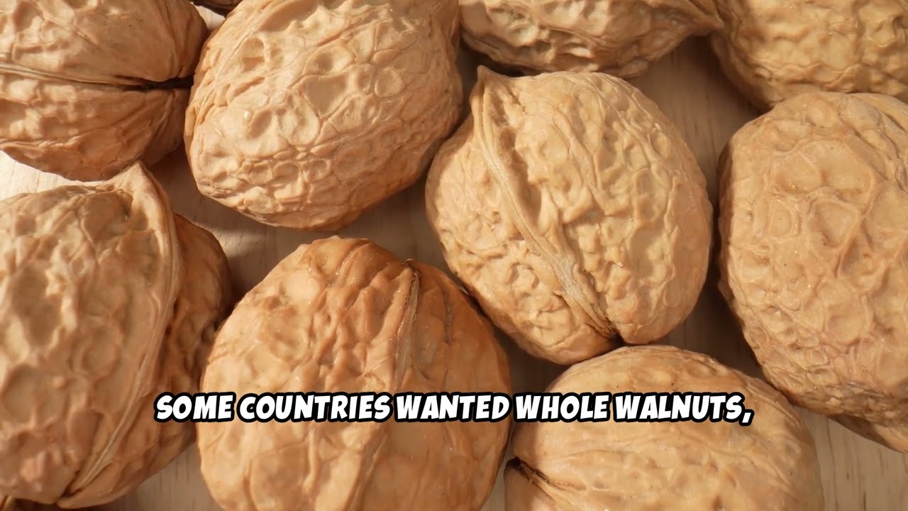 Chilean Walnut Exports Surge 43% in 2025 | Full Market Report
