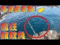 離島で瘋狂爆線!釣到好多沒看過的魚!不能小看這大漁絕境!ㄧOn a remote island in Taiwan