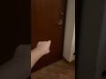 avvistato il gatto col cappello in una casa abbandonata di notte…???? #shorts #roblox #horror #paura