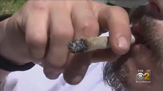 Automatic Marijuana Expungement A Complicated Matter