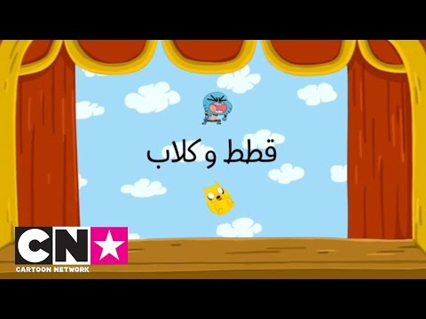 قطط وكلاب فقرة كرتون نتورك 