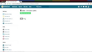 BellaDati Tutorial - Working with the data set