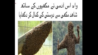 Bee Fly With Man Heavy Friends Ship Amazing Talaent This Man Superb Friendsship With Honey