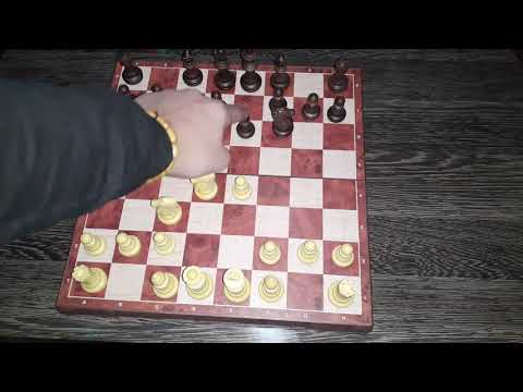 სიცილიური დაცვა sicilian defence.