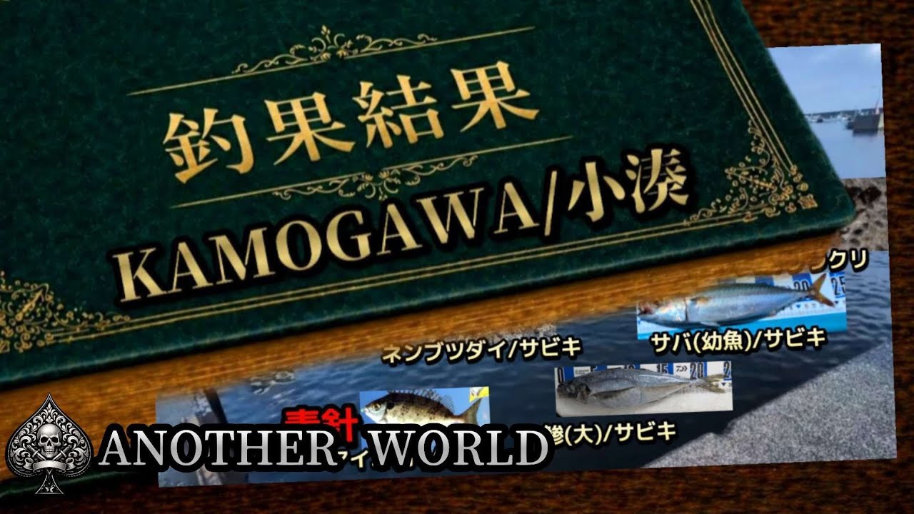 fishing MURAI JAPAN 様リクエスト 2点 まとめ商品 📗Mio's fishing results were amazing, with a catch of more than
