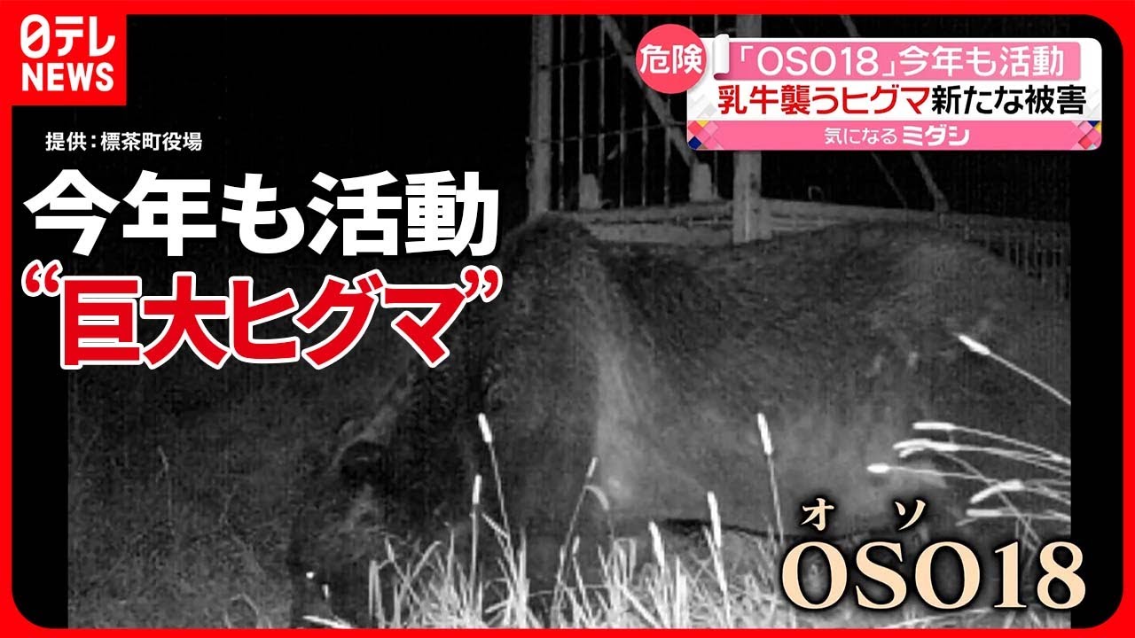 hq720.jpg?sqp=-