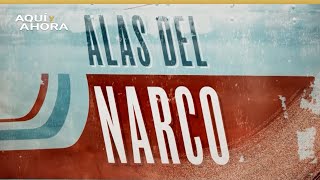 Alas del narco (2017) | Especial de Aquí y Ahora y Univision Investiga