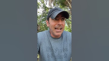 Shell Script Icons on Your Phone