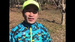 猫ひろしチャンネル猫 ひろし Youtube