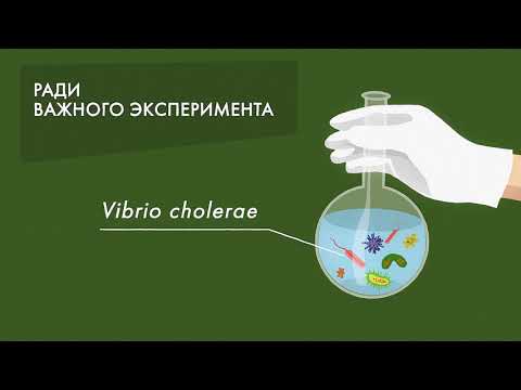 Видео: Гайхамшигтай амьтад: АНУ -ын геологийн судалгааны төсөл дэх зөгий бичил орон зай