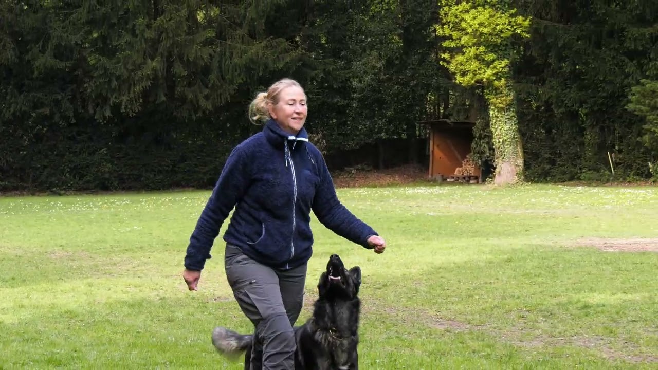 Begleithundeprüfung Kristina Rusko