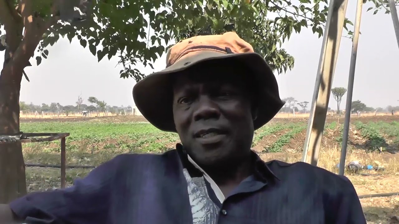 Zimbabwe The Awakening Giant - Mr  Mbambaira Reloaded